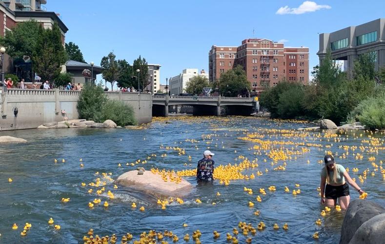Rubber duck race