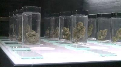 SB302 Aims to Speed Up Recreational Pot Sales