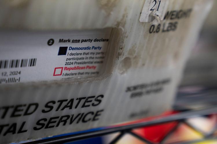 Election 2026 Mail Ballot Rejections