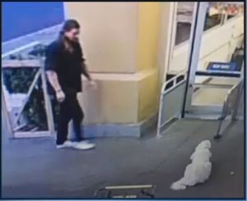 Dog Recovered After Mistakenly Taken by Good Samaritan