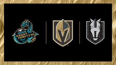 Knight Monsters Partnership