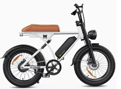Stolen electric bicycle in Fallon