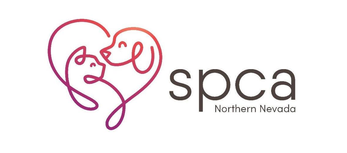 SPCA Holds Webinar to Help Dog Owners