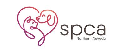 SPCA Holds Webinar to Help Dog Owners