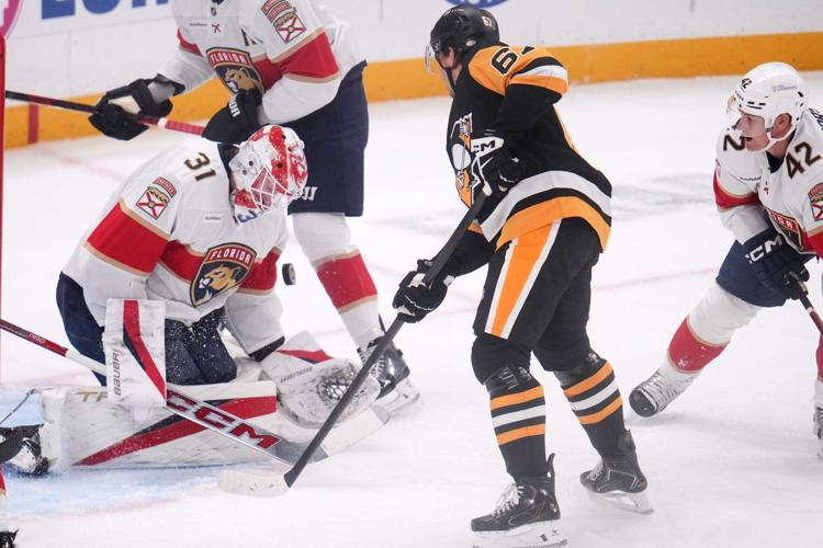 Panthers Penguins Hockey