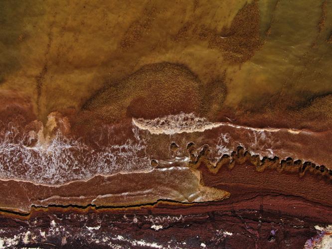 APTOPIX Mexico Sargassum