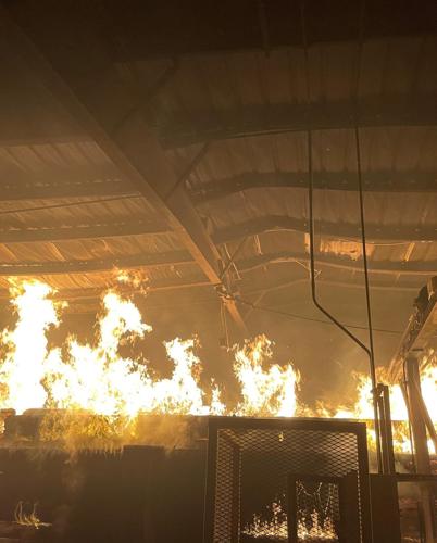 power pole plant fire 2.jpg