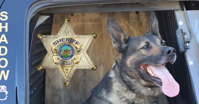 Douglas County Sheriff K-9 Retires After Seven Years | | 2news.com