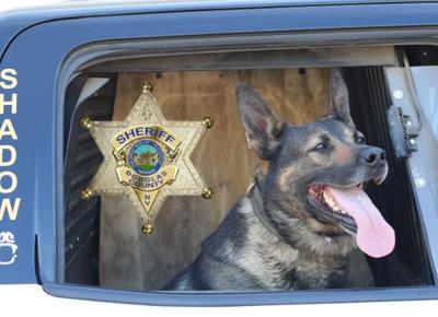 Douglas County Sheriff K-9 Retires After Seven Years