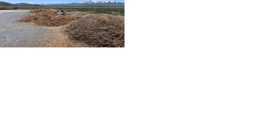 Truckee Meadows Fire & Rescue offering free wood chips May 27-28 - Vimarsana News