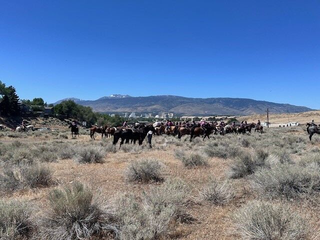 Reno Rodeo 2025 Cattle Drive - final trek to rodeo grounds 18