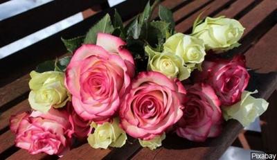 Century Old Flower Company FTD Seeks Chapter 11 Bankruptcy