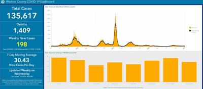 Washoe County COVID-19 Cases, early 2024