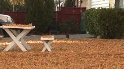 Leaves Prompt Reno Residents to Use Excess Waste Stickers