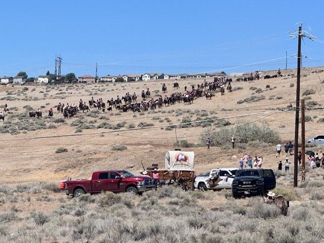 Reno Rodeo 2025 Cattle Drive - final trek to rodeo grounds 5