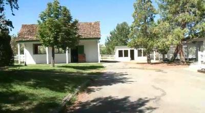 At-Risk Youth Clean Up Washoe County Parks