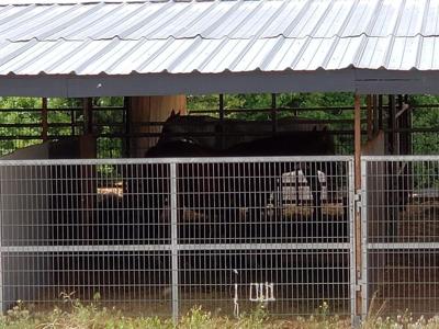 First Responders Learn About Saving Horses From Wildfires