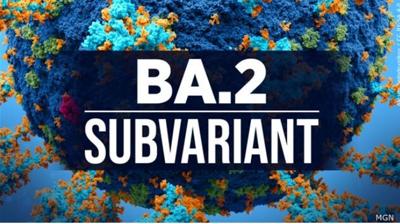 Stealth COVID Variant