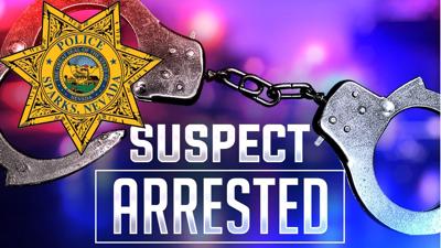 Sparks Police arrest