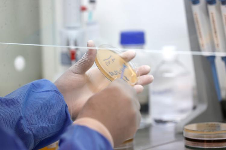 Africa Laboratory Scientists