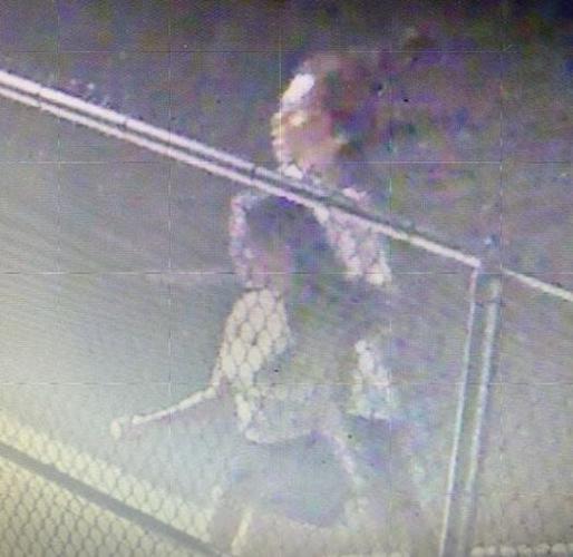 Carson City Deputies Seek Kids Who Damaged Elementary School Windows