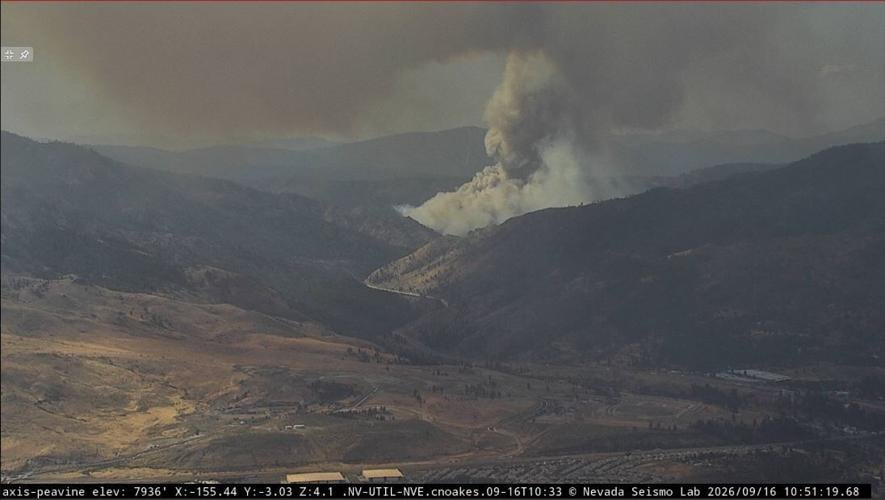 Peavine camera