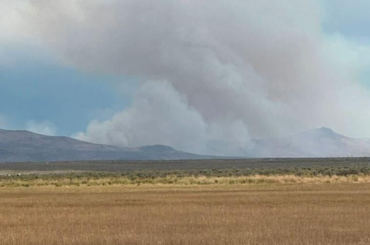 Oxley Fire