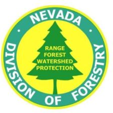 Kacey KC Appointed to Lead Nevada Division of Forestry