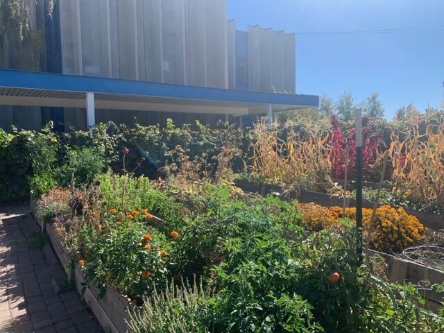 Pine Middle School Garden