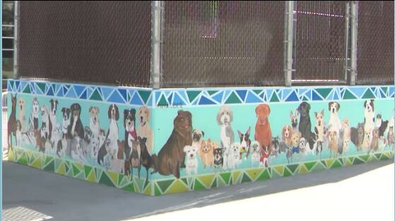 Fundraising for Phase Two of the Biggest Little Dog Park