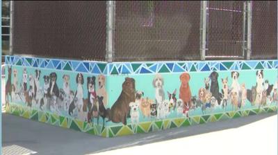 Fundraising for Phase Two of the Biggest Little Dog Park