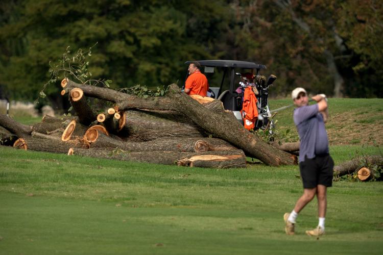 Trump Golf Course
