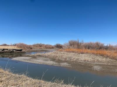 Argenta Wildlife Management Area