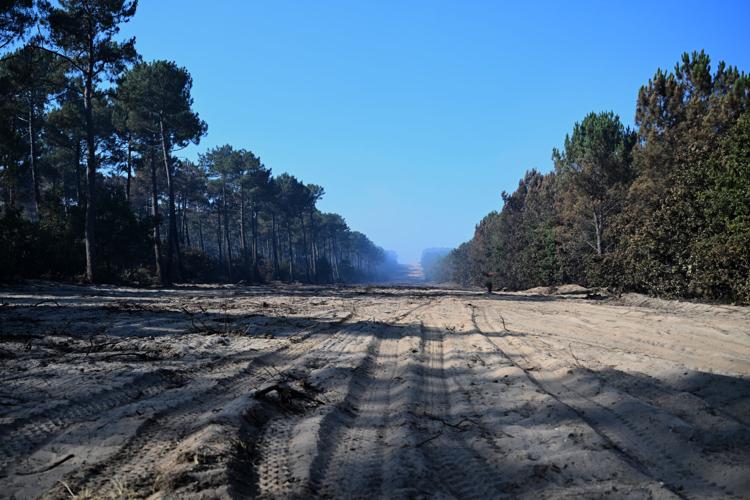 France Wildfires