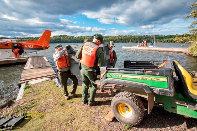 Isle Royale-Wolf Survey
