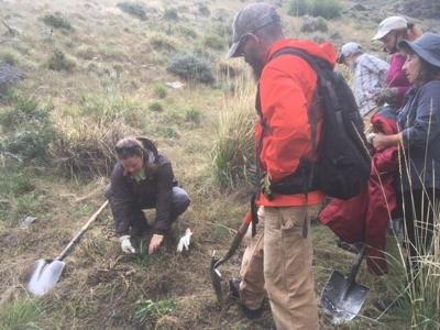 "Weed Warriors" Battle Invasive Plants in the Mt. Rose Wilderness