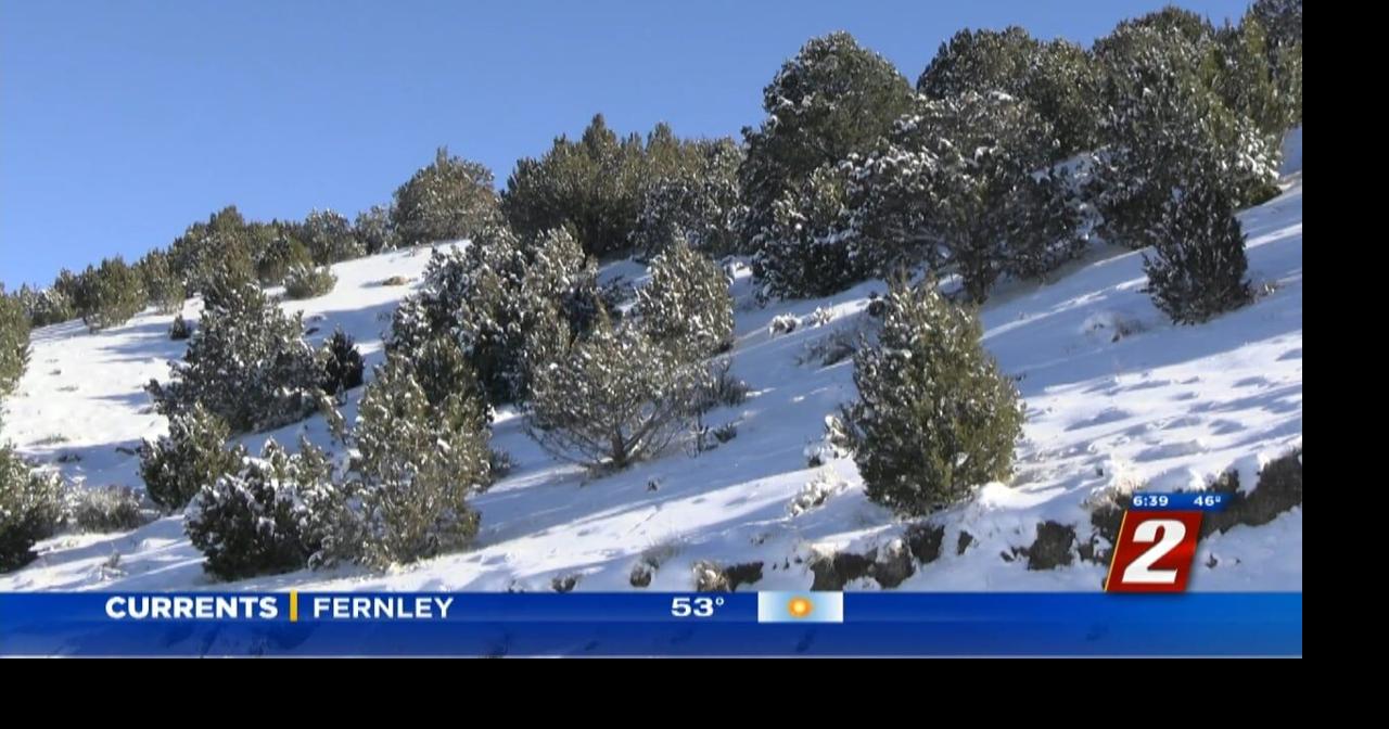 Nevada Backroads The Story Behind The Christmas Tree Nevada