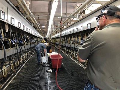 Tariffs Hurt Fallon Dairy Farmer