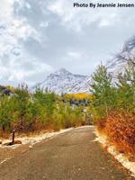 Connection Between Our Weather And Fall Colors