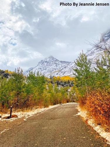 Connection Between Our Weather And Fall Colors