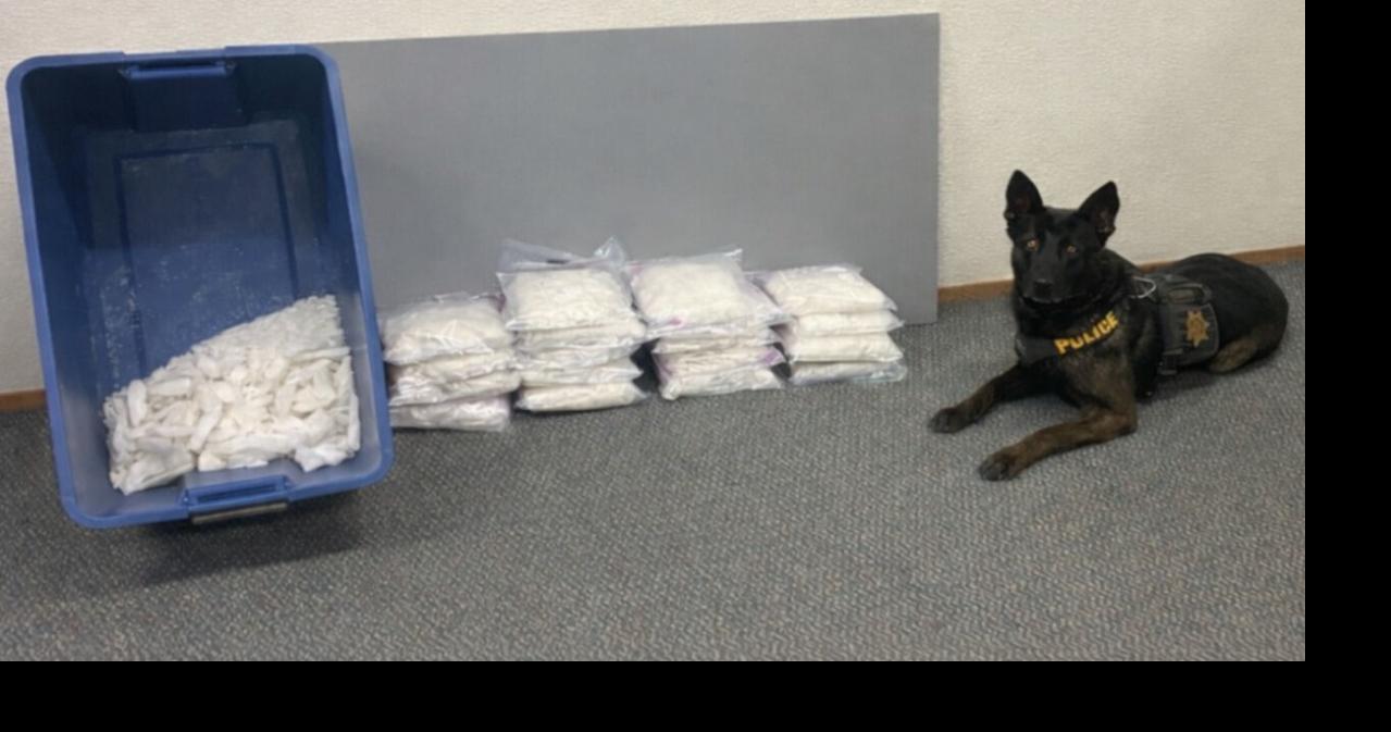 CHP K-9 officer helps find 53 pounds of meth in traffic stop | Crime ...