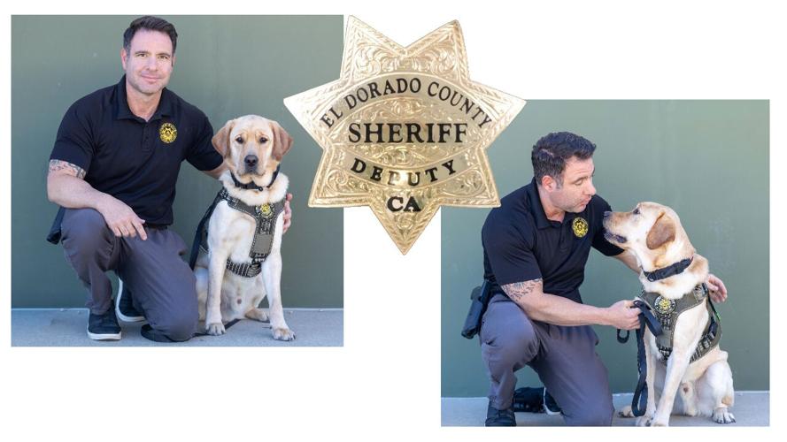 K9 Cooper web image .jpg