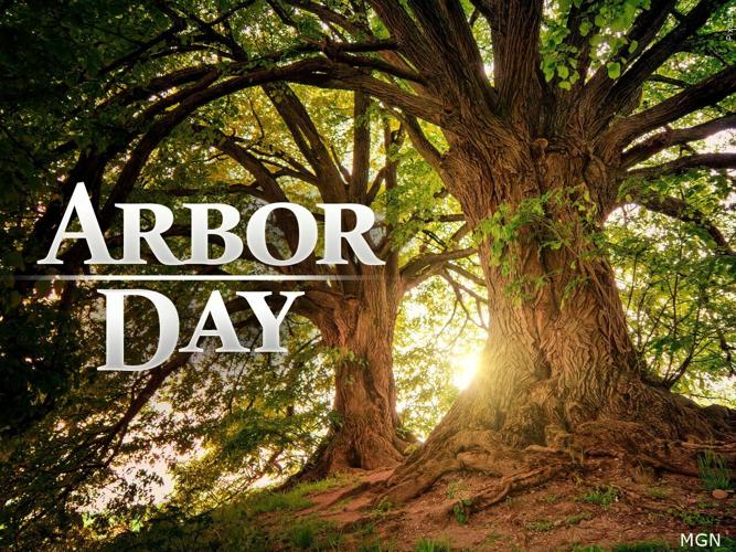 Arbor Day generic