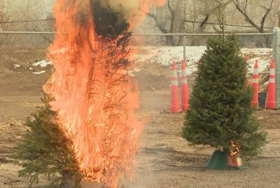 How to Keep Christmas Trees From Becoming a Fire Hazard
