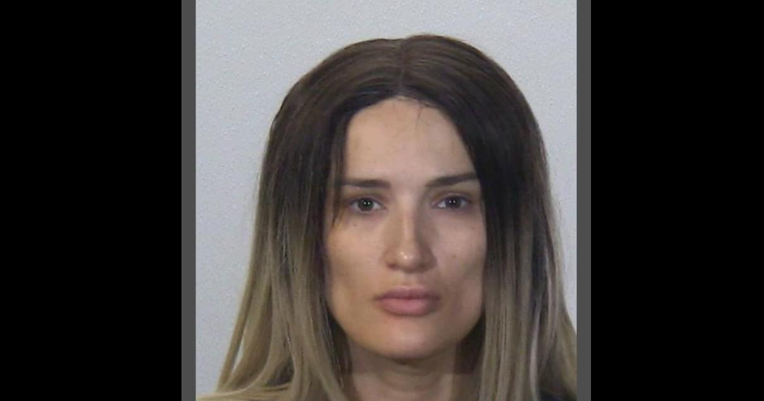 Two Arrested in Douglas County on Credit Card Fraud and Identity Theft ...