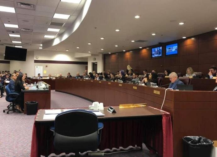 Nevada Lawmakers Hear Bill on Gun Issues