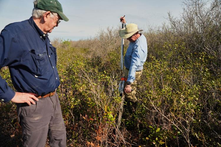 Climate Peatlands Restoration