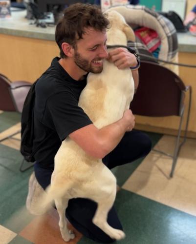 Successful adoption at NHS.jpg