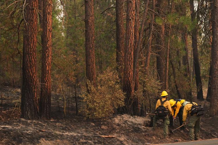 Western Wildfires
