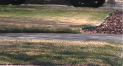 Sisolak Signs Legislation Making Nevada the First State in U.S. to Ban Ornamental Grass